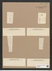 Thalassiothrix nitzschioides Grun. (de-Toni-Nr.: Genus 67, Species 2671) Zeichnungen Sammlung Grunow Nr. 5452 (NHMW-BOT-W0373870)